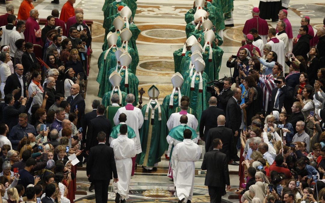 Papa Francisco: Soñando una Iglesia amazónica